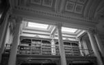 Museums and Exhibitions