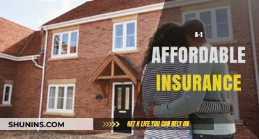 Affordable Insurance: A-1's Guide to Saving Money