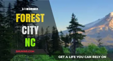 Insurance Coverage in Forest City, NC: A-1 Protection