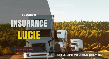 The Best Insurance Advantage in Lucie