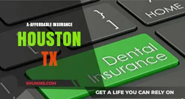 Houston's Best Affordable Insurance Options