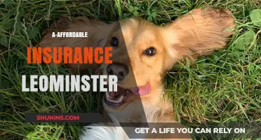 Leominster's Best Insurance: A-Affordable, Reliable Protection