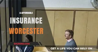 Best Insurance Options in Worcester: Affordable and Reliable
