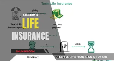 Life Insurance: Visualizing Your Coverage with Diagrams