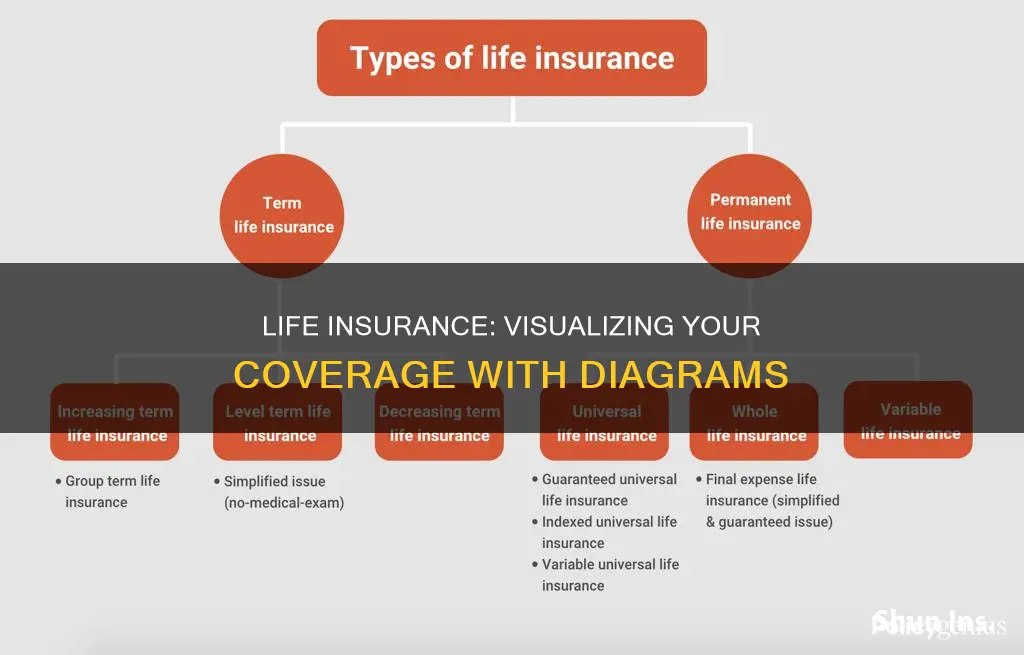 a-diagram in life insurance