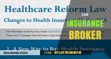 Insurance Broker: A-Eja's Comprehensive Coverage