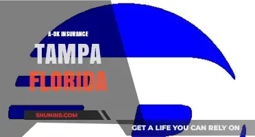 Insurance Coverage in Tampa: A-OK!