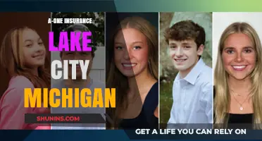 Insurance Coverage in Lake City, Michigan: A-One Insurance