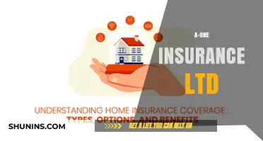 Insurance Coverage: A-One Insurance Ltd