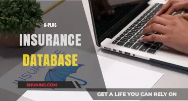 Protecting the A-Plus Insurance Database: Strategies for Success