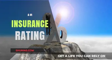 The Future of Insurance: A-VI Ratings