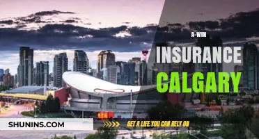 Insurance Coverage: A-Win Insurance Calgary's Comprehensive Guide