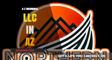 Insurance LLC in Arizona: A to Z
