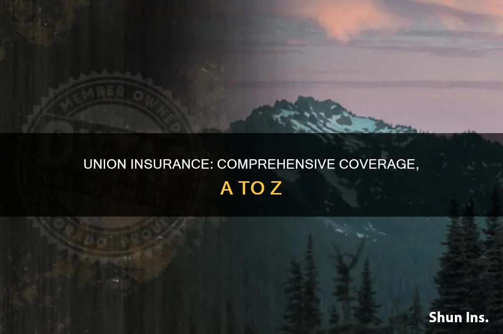 a-z union insurance