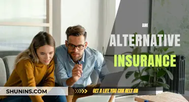 The Future of Insurance: Alternative Insurance Options