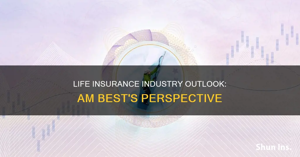 am best life insurance industry outlook