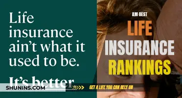 Best Life Insurance: Am Best Rankings Explained