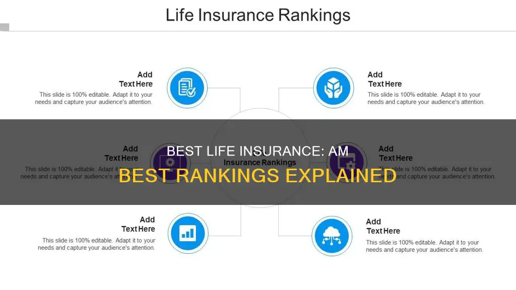 am best life insurance rankings