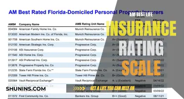 Life Insurance Rating Scale: AM Best's Methodology Explained