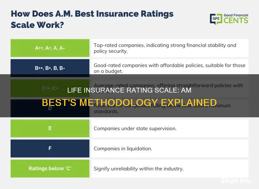 am best life insurance rating scale