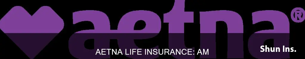 am best rating aetna life insurance