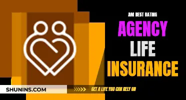 Best Life Insurance: AM Rating Agency's Guide