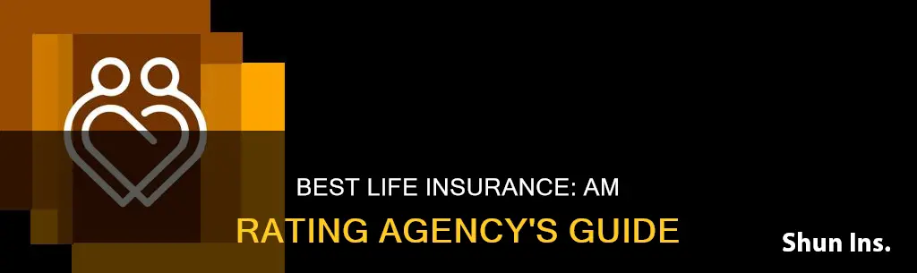 am best rating agency life insurance