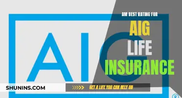 AIG Life Insurance: AM Best Rating Explained