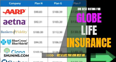 Best Rating for Globe Life Insurance: AM's Assessment