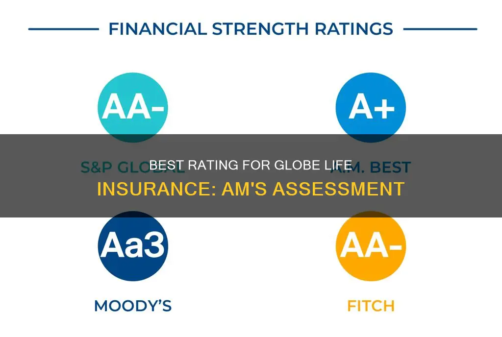 am best rating for globe life insurance