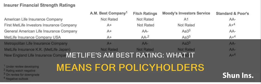 am best rating metlife life insurance