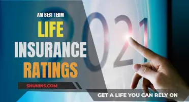 Best Term Life Insurance: AM Ratings and Reviews