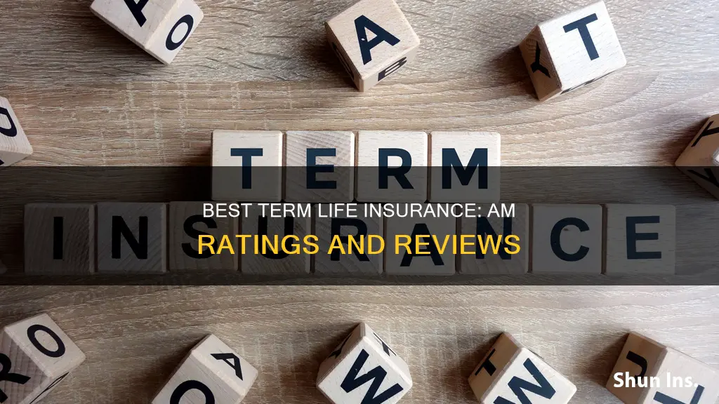 am best term life insurance ratings