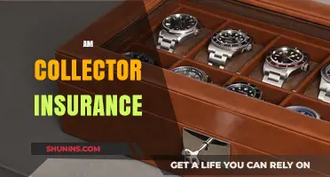 Protect Your Passion: Collector Insurance for Your Prized Possessions