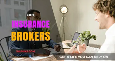 Insurance Brokers: AmEx's Guide to the Best Policies