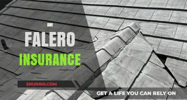 Falero Insurance: Your Ultimate Protection Partner