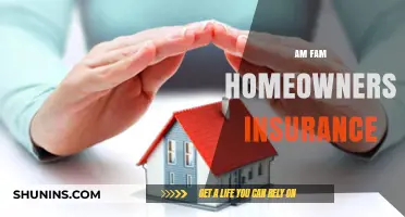 Protect Your Home: AmFam Insurance for Peace of Mind