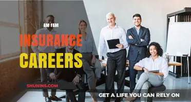AmFam Insurance: A Career Path to Success
