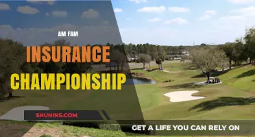 Golfing Greats: Am Fam Insurance Championship
