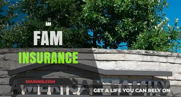 AmFam Insurance: Your Ultimate Guide to Coverage