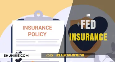 Insurance for the Self-Employed: AM-FED