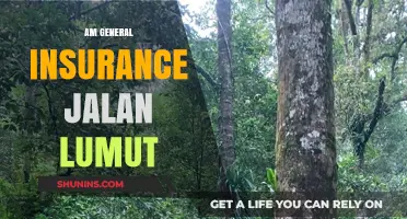 General Insurance: AmGeneral's Jalan Lumut Branch