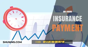 Secure Payments: AmGuard Insurance Payment Options