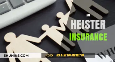 Heister Insurance: Protecting Your Future, Today