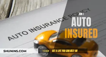 Auto Insurance: Am I Covered?