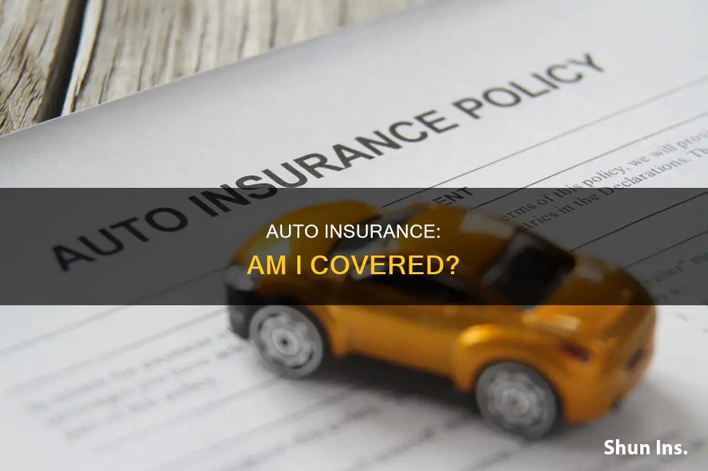 am I auto insured