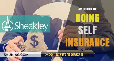 Self-Insurance: Is It a Smart Money Move?