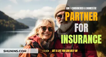 Domestic Partner Insurance Eligibility