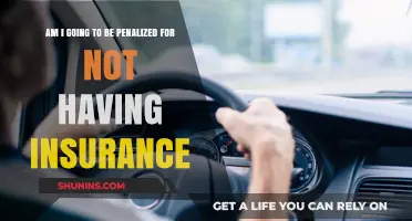 Insurance and Penalties: What You Need to Know