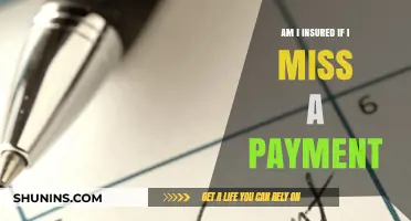 Stay Covered: Missed Payment and Insurance Protection